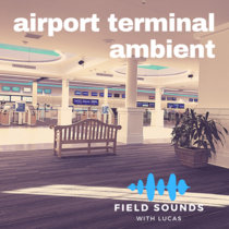 Ambient Sounds Airport Ticketing Library cover art