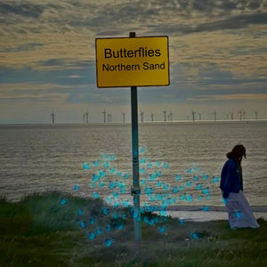 Butterflies cover