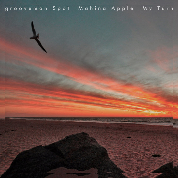 邦楽 Grooveman Spot, Mahina Apple My Turn 7\