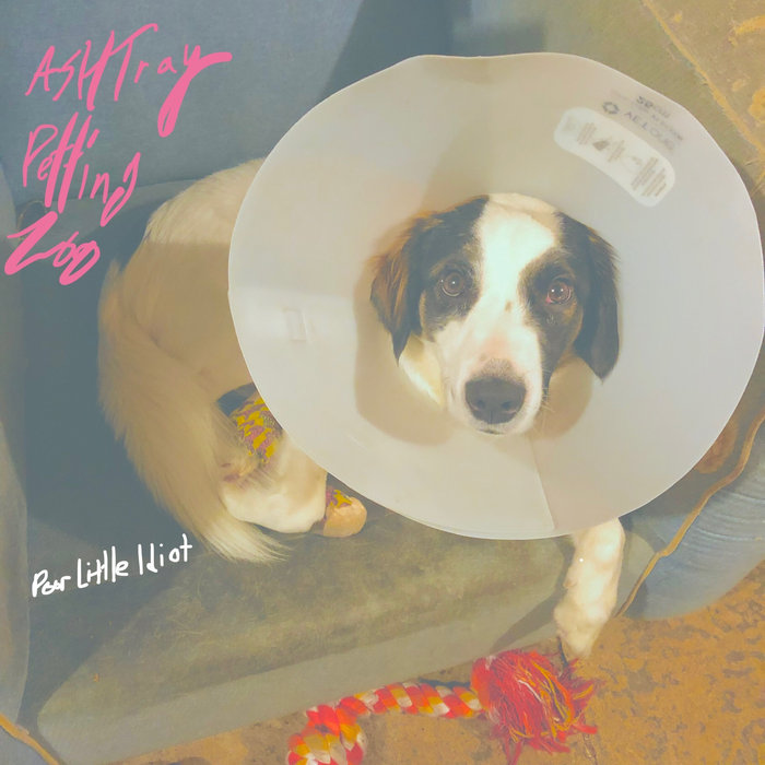 Poor Little Idiot Ashtray Petting Zoo