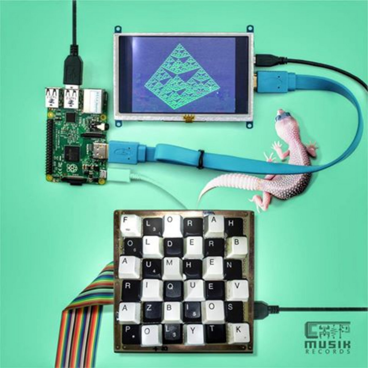 VOICE & ALGORITHM (ChMR-C.D-051) | BIOSpolytk | Chip Musik