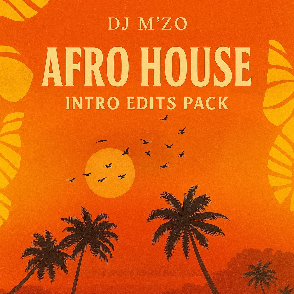 AFRO/LATIN HOUSE INTRO EDIT PACK | DJ M'Zo