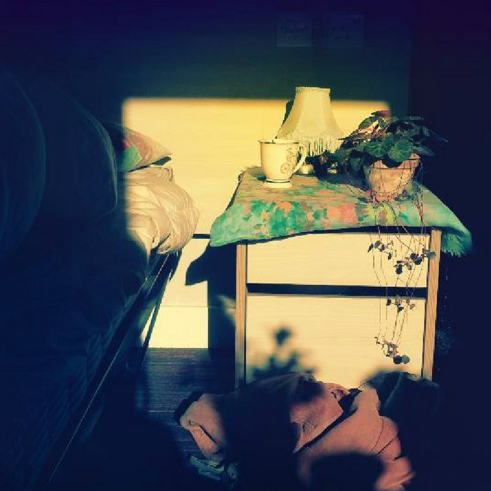 Hand Me Downs/Edge of Indigo Phoenix Mundy