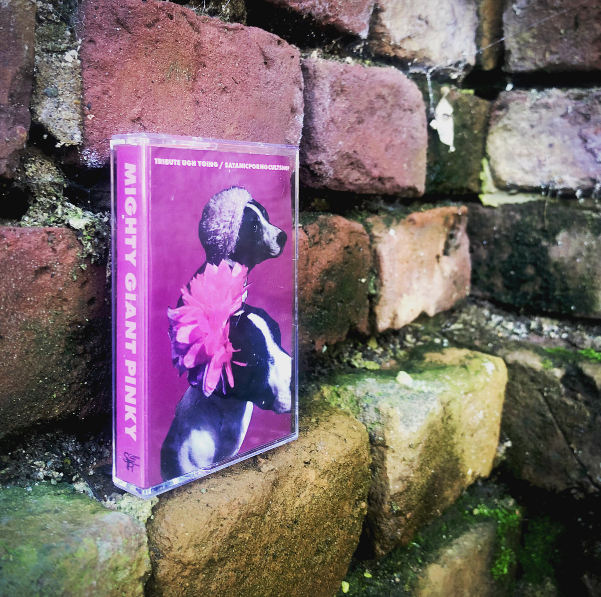 Mighty Giant Pinky - Tribute to Satanicpornocultshop | Various