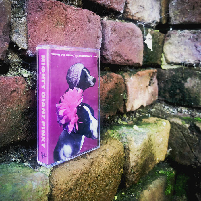 Mighty Giant Pinky - Tribute to Satanicpornocultshop | Various