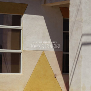 CannonSims x Air Credits x ICETEP cover