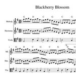 Blackberry Blossom Bluegrass Harmony Sheet Music fiddle duet and cello part