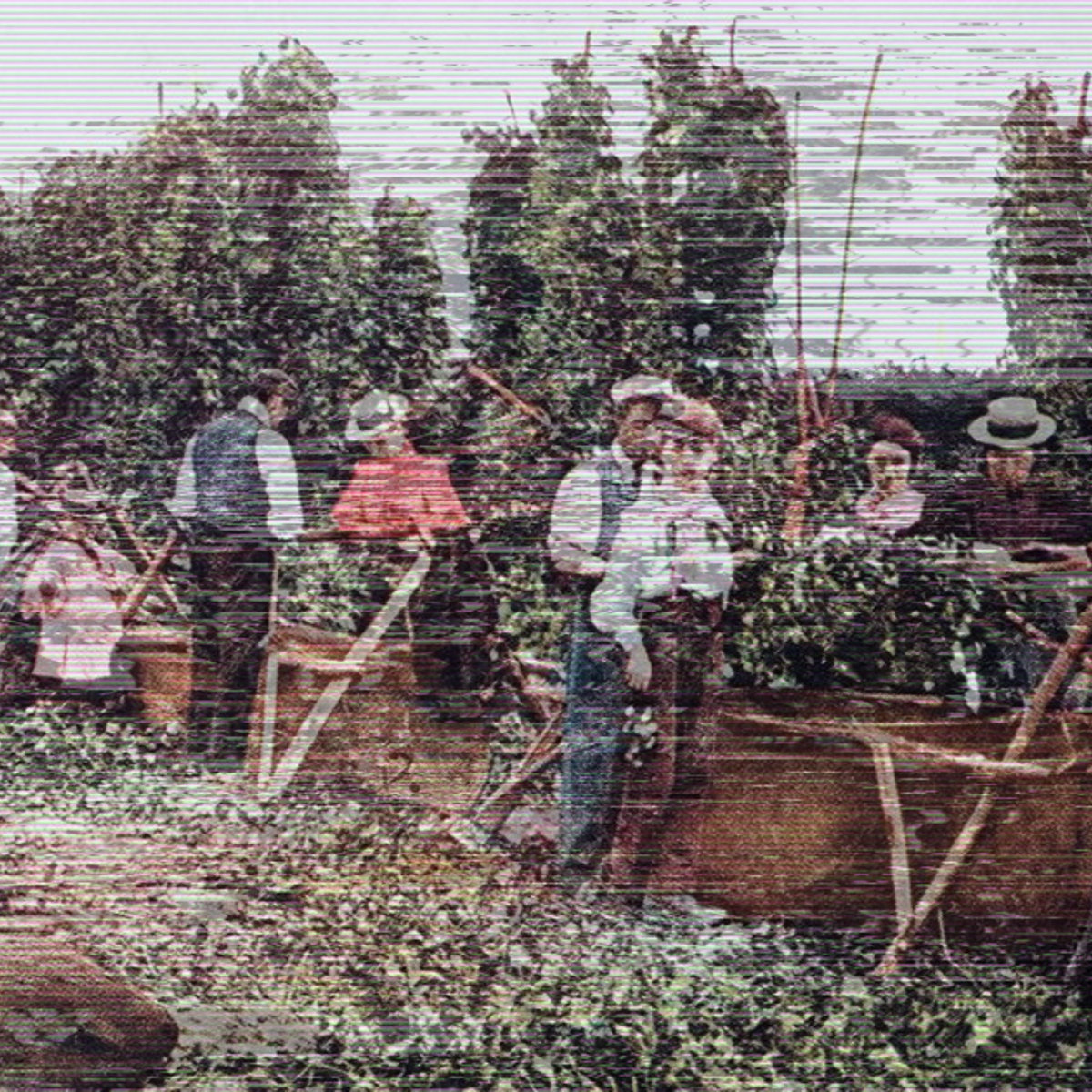 Hop Picking EP