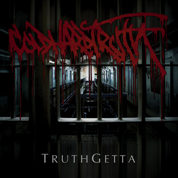 洋楽 COLD HARD TRUTH / DELIVER THE FEAR CD Cold Hard Truth – Deliver The Fear | Releases | Discogs