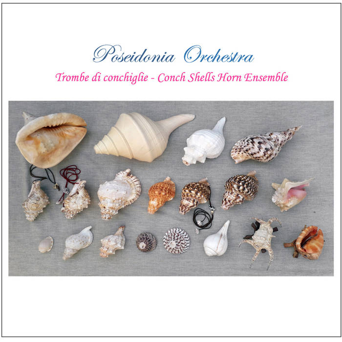 Trombe di conchiglie - Conch Shells Horn Ensemble | Poseidonia ...