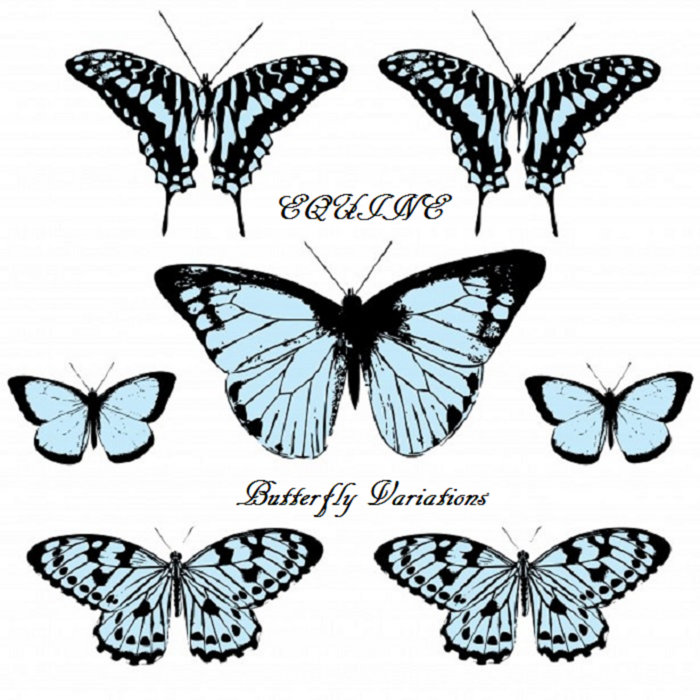 Butterfly Variations Equine