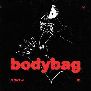 BB (BODYBAG) cover