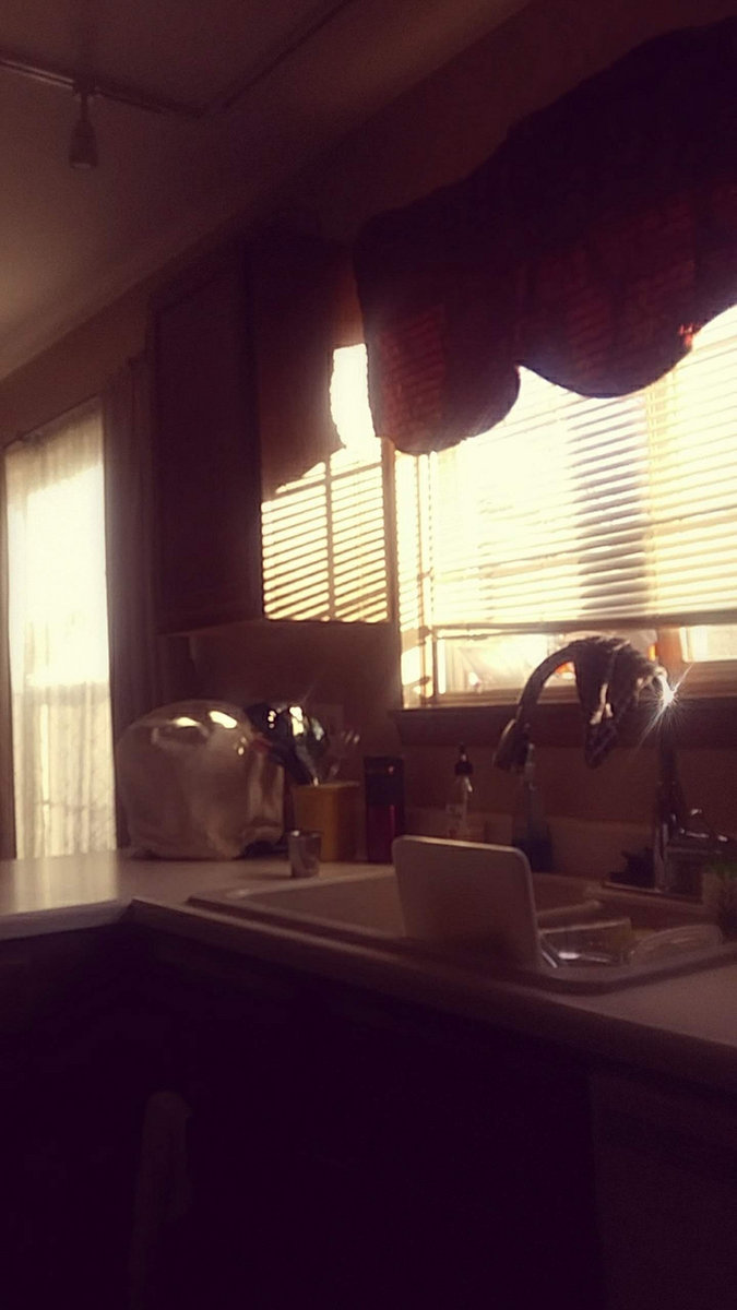 7:55 AM | Memory Ward