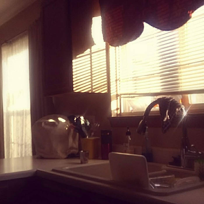 7:55 AM | Memory Ward