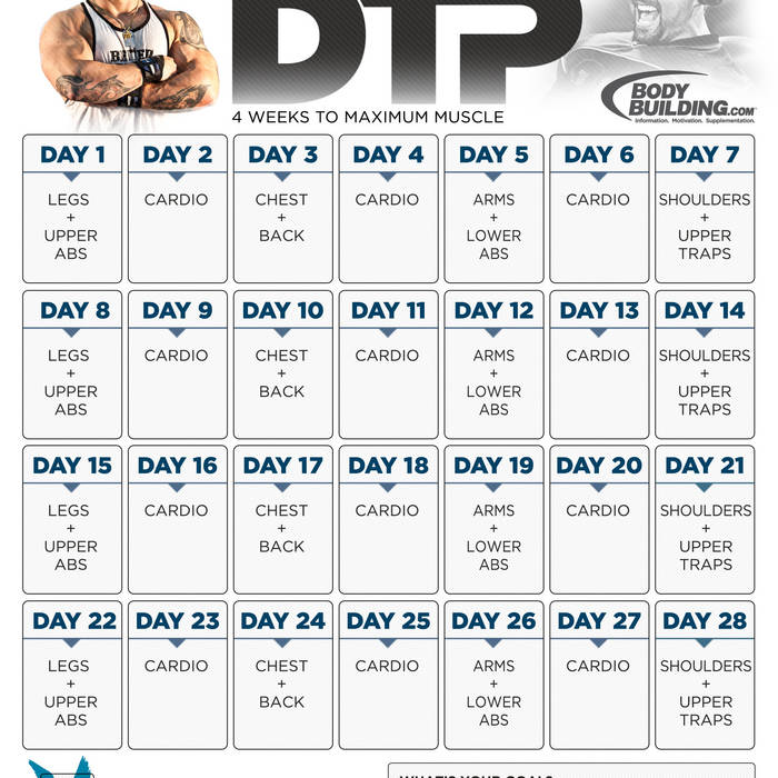 6 Day Bodybuilding Workout Schedule Pdf | EOUA Blog