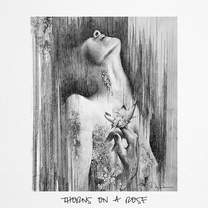 The Citrus Clouds The Feeling Lyrics