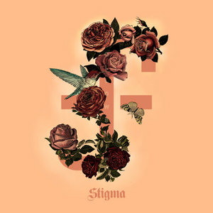 Followship — Stigma