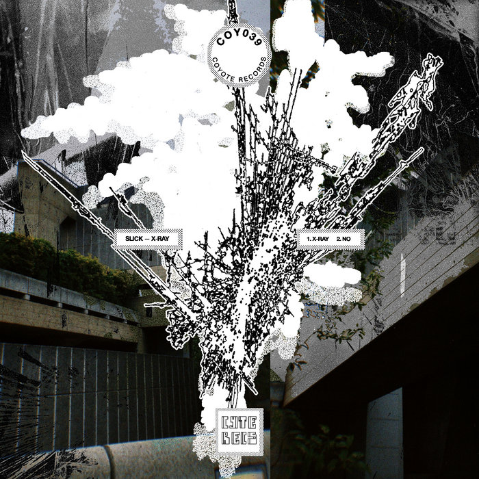 X-Ray | Slick