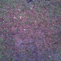 The Bizarro Sounds of MegaCorp Music Four Live at Roulette (File Under Jazz) cover art