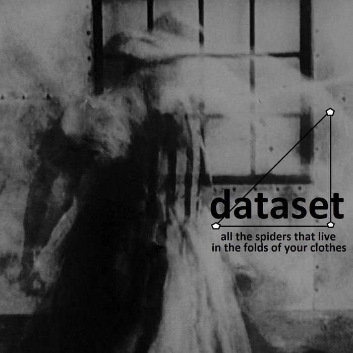 All The Spiders That Live In The Folds Of Your Clothes Dataset