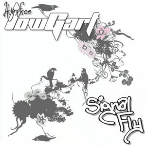 SignalFly cover