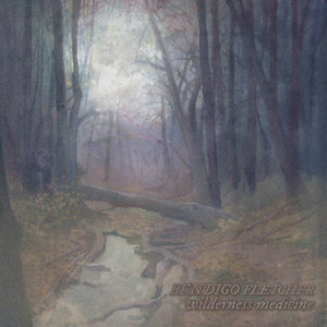 Terminally Wild cover