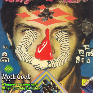 Whipped Stream and Other Earthly Delights cover