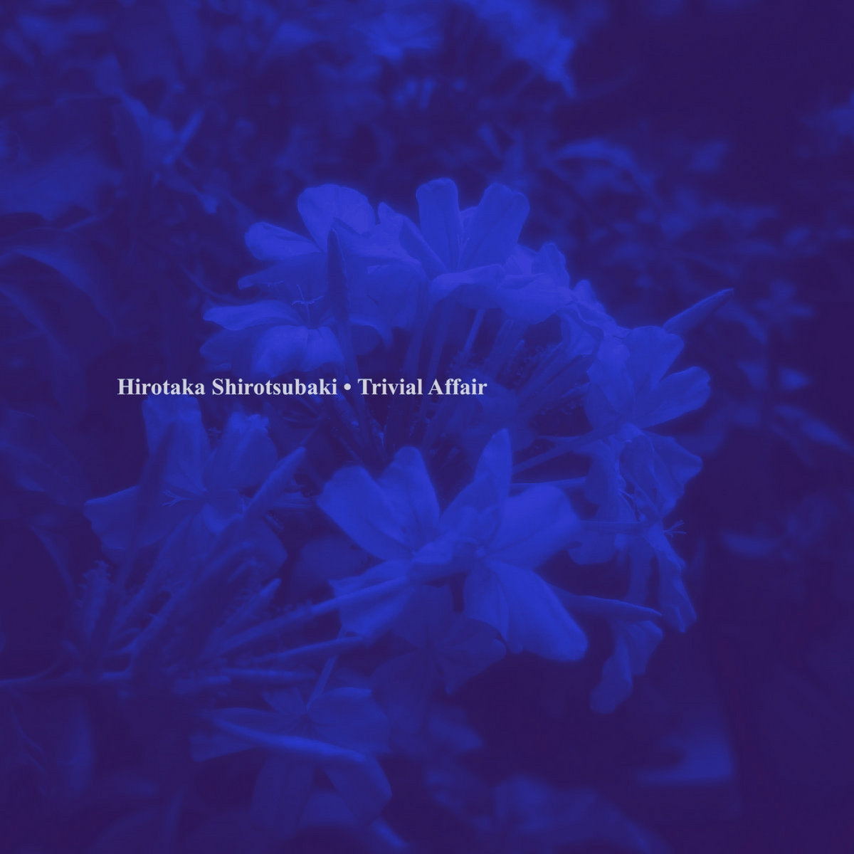 Trivial Affair | Hirotaka Shirotsubaki