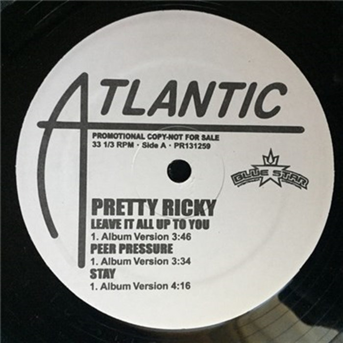 Pretty Ricky Albums Late Night Special Sampler | Pretty Ricky (2)