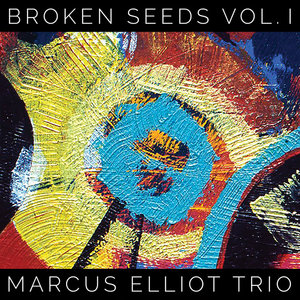 Broken Seeds Vol. 1 cover