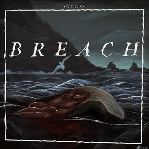 breach cover