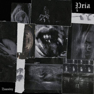 Pria cover