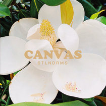 Canvas cover art