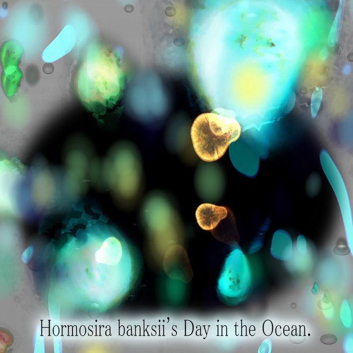 The Ecosystem Engineers The Ecosystem Engineers