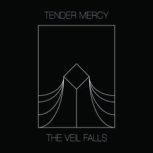 The Veil Falls cover