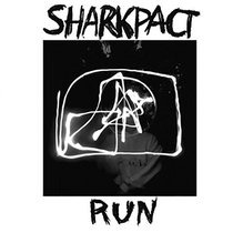 Run cover art