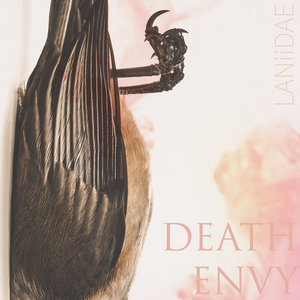 LANiiDAE — Death Envy