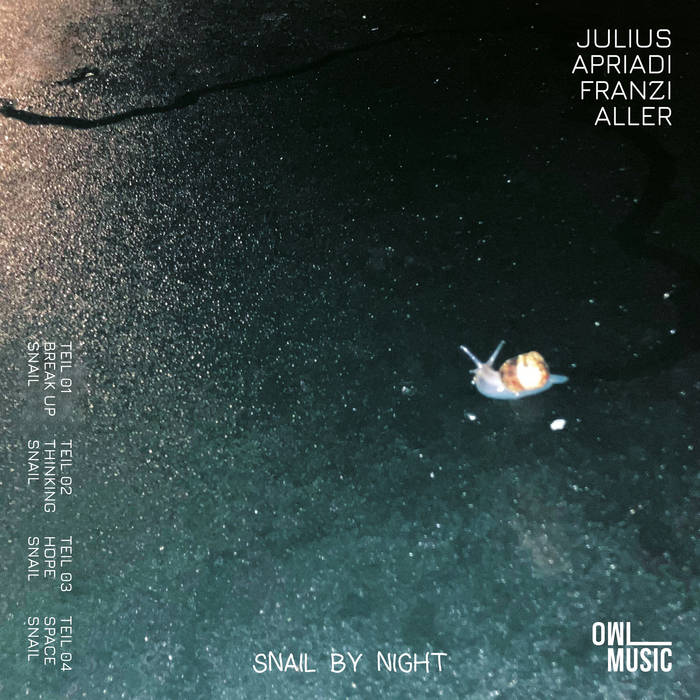 Snail by Night
von Julius Apriadi, Franzi Aller
