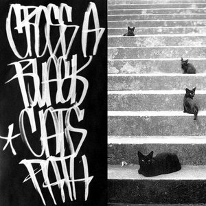 Cross A Black Cat's Path cover