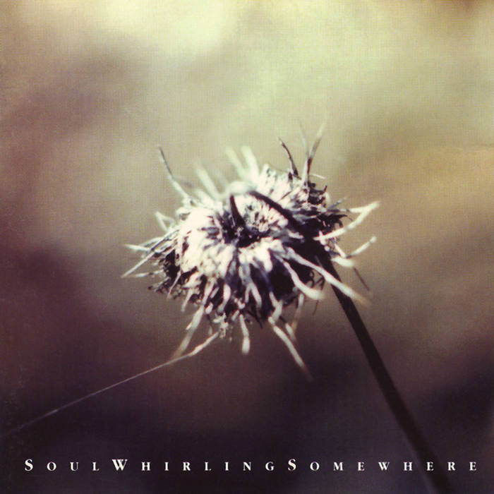 Everyone Will Eventually Leave You Soul Whirling Somewhere Projekt Records Everyone Will Eventually Leave You Soul Whirling Somewhere Projekt Records