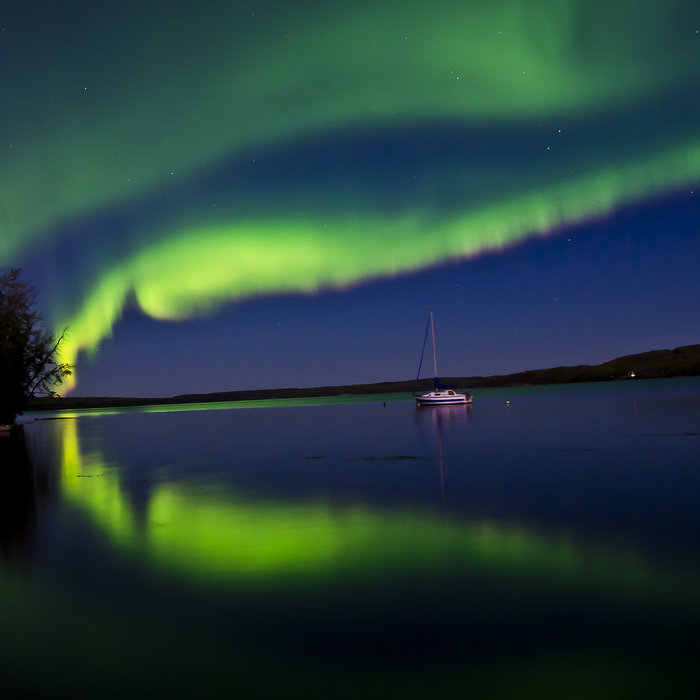 Telecharger le diner de cons