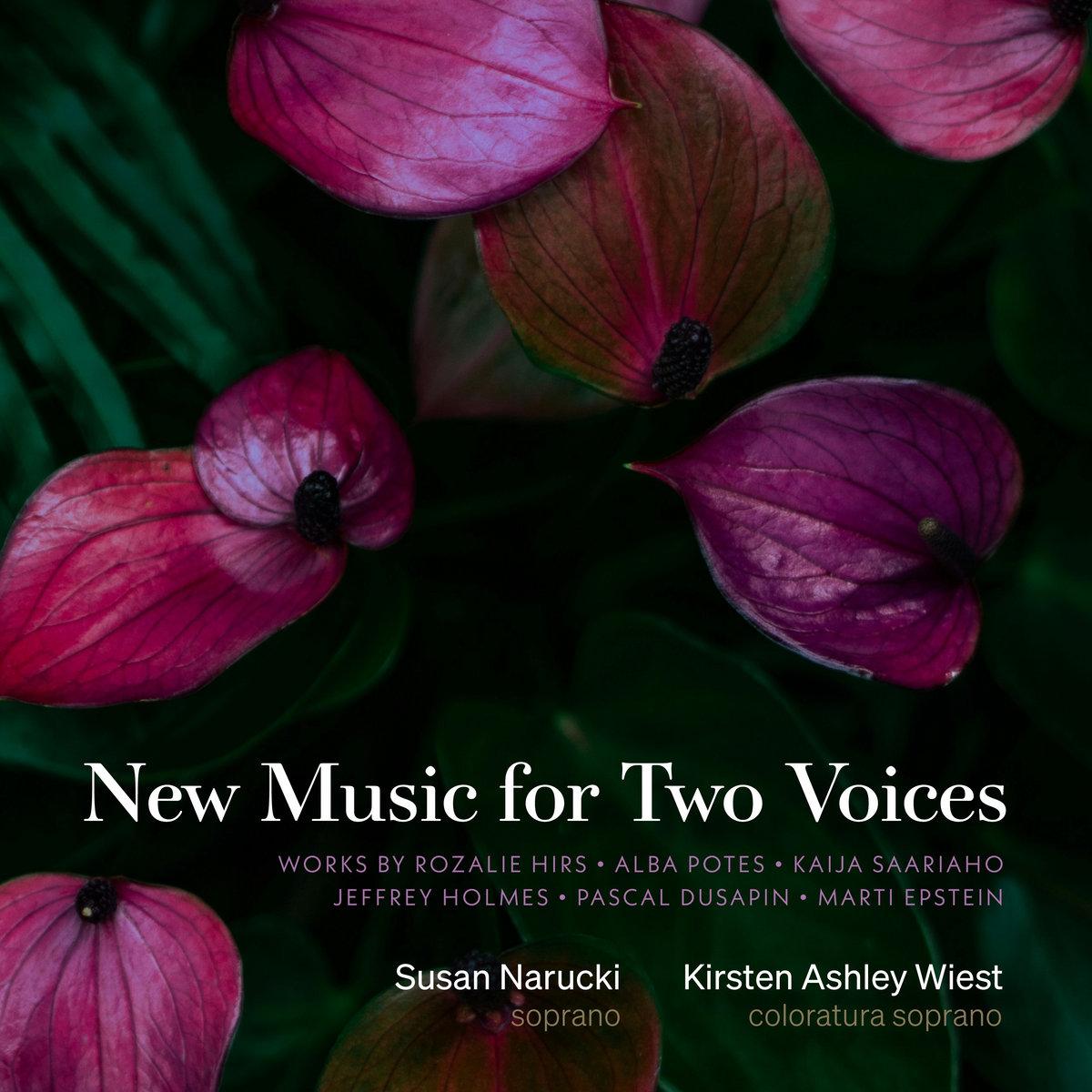 New Music for Two Voices | Susan Narucki & Kirsten Ashley Wiest
