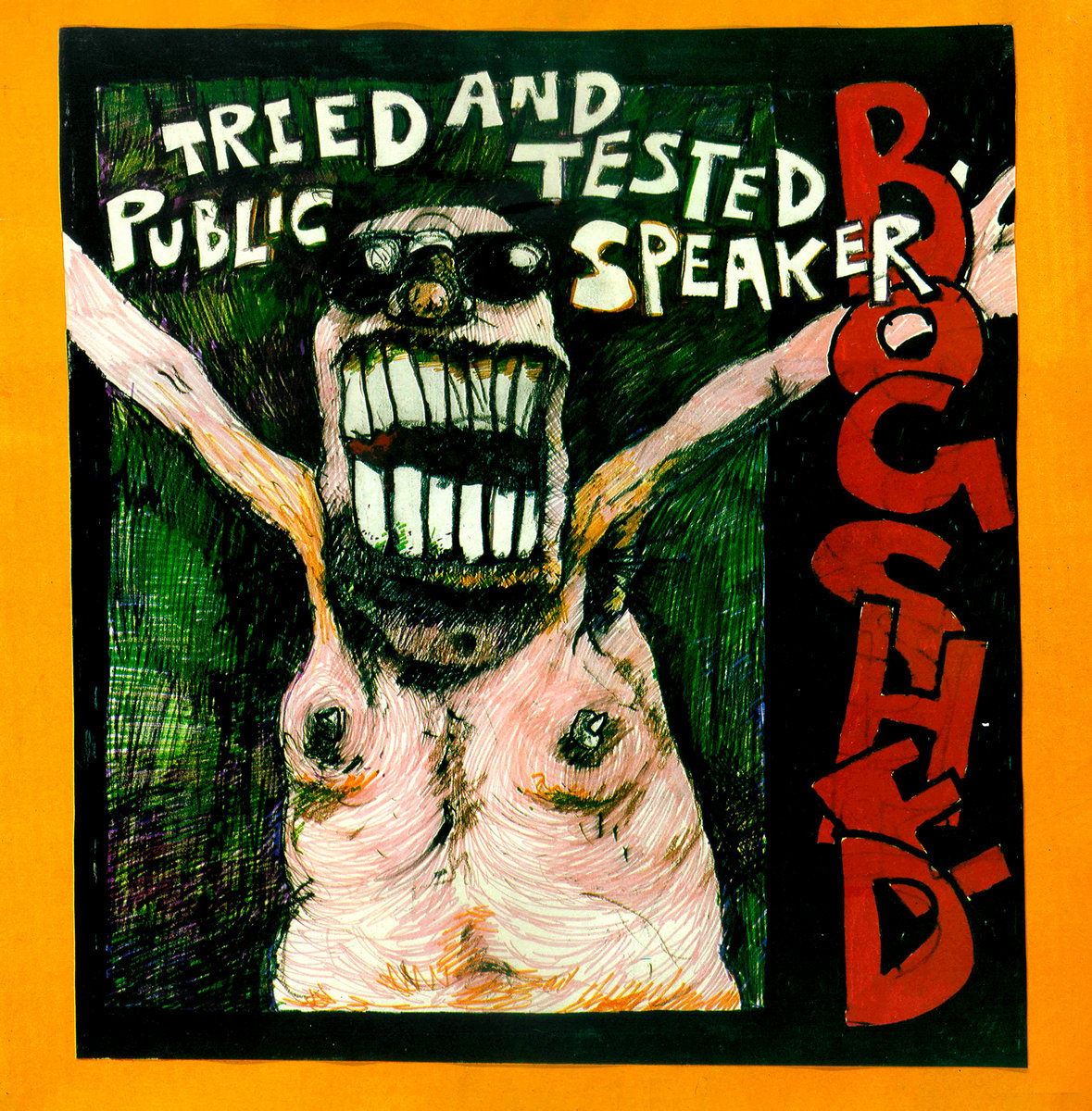 Tried & Tested Public Speaker (John Peel Sessions) | Bog Shed