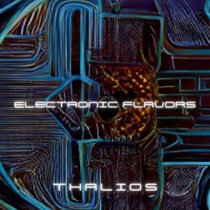Electronic Flavors cover art