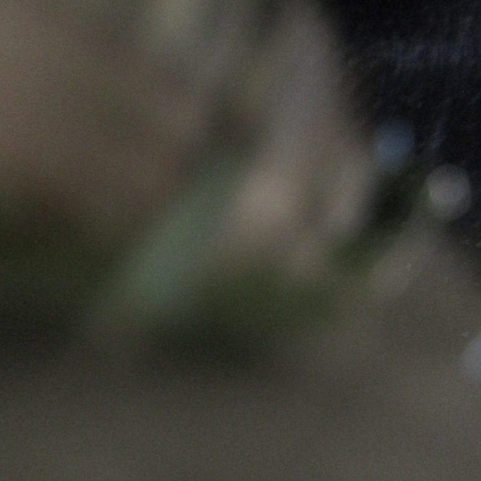 lens withdrawal | walls