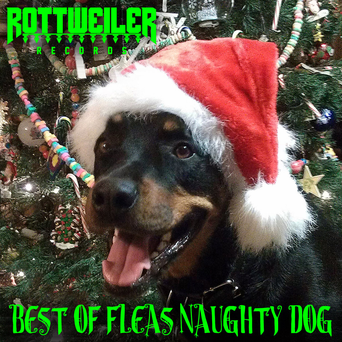 BEST OF FLEAS NAUGHTY DOG + | Rottweiler Records
