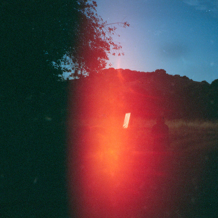 Pitch Pine Palace Credit Electric