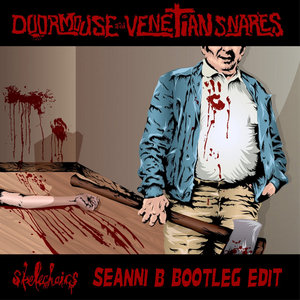 Doormouse - Skelechairs (Venetian Snares Remix) (Seanni B Bootleg Edit) cover