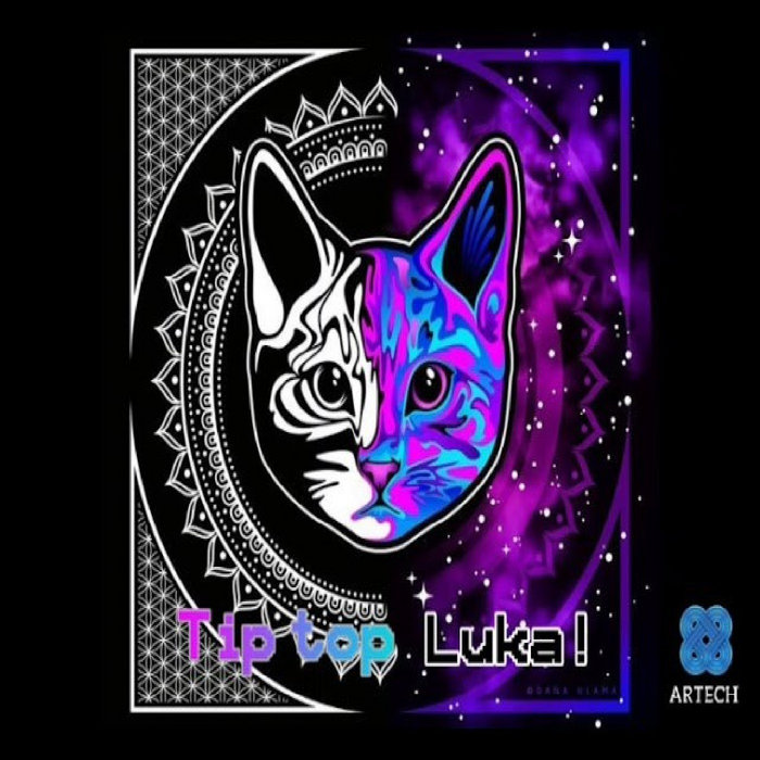 Space Kitty DJ Artech