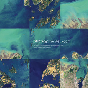 The Wet Room cover